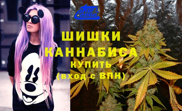apvp Верея